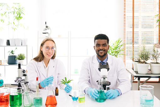 Portraits of a diversity of scientists caucasian and black smile and look at the camera in a research laboratory. Group of chemistry students working on hemp plant and Marijuana research in the lab.