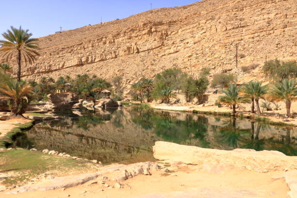 spektakularna natura wadi bani khalid, oman - wadi bani khalid zdjęcia i obrazy z banku zdjęć