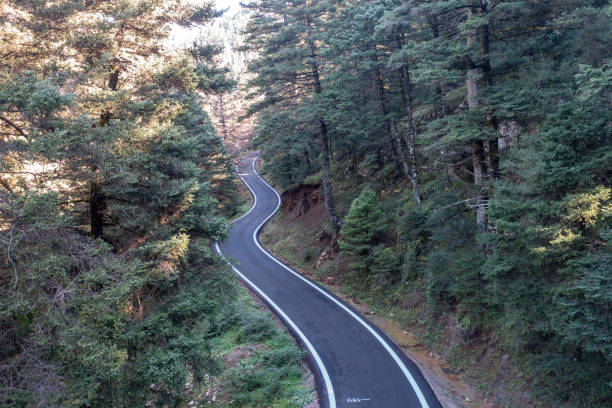istock Winding road crossing fir forest. Aerial drone view, top down. Greece 1435068340