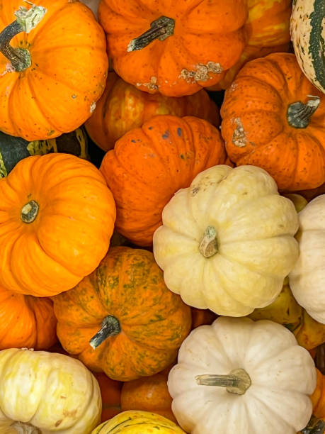istock High angle view on beautiful Halloween pumpkins 1435068385