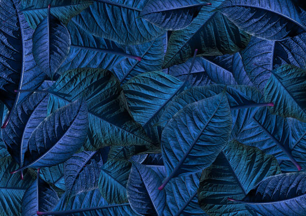 istock Pattern with poinsettia leaves. 1435074135