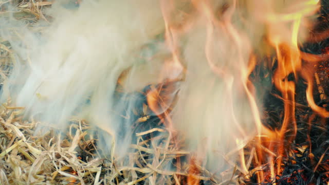 Straw Burning Up In Fire