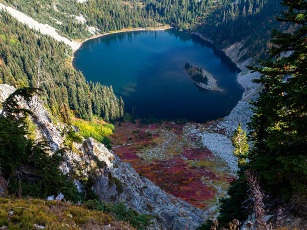 istock Larch Tree at Ann Lake, Washington 1435074623