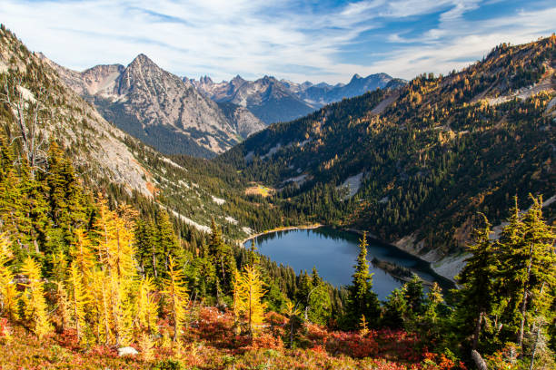 istock Larch Tree at Ann Lake, Washington 1435074624