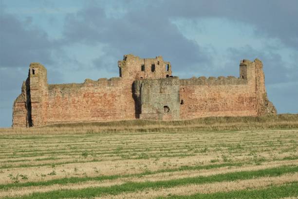 Tantallon Castle North Berwick, East Lothian, Scotland - 18 October 2022: Looking across a field of stubble towards Tentallon Castle in the late autumn sunshine. north berwick scotland east lothian castle scotland stock pictures, royalty-free photos & images