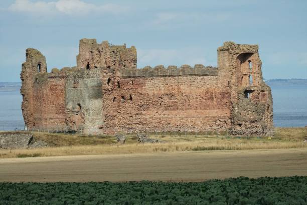 Tantallon Castle North Berwick, East Lothian, Scotland - 11 September 2022: Looking across fields towards Tantallon Castle, with the Firth of Forth in the background. north berwick scotland east lothian castle scotland stock pictures, royalty-free photos & images
