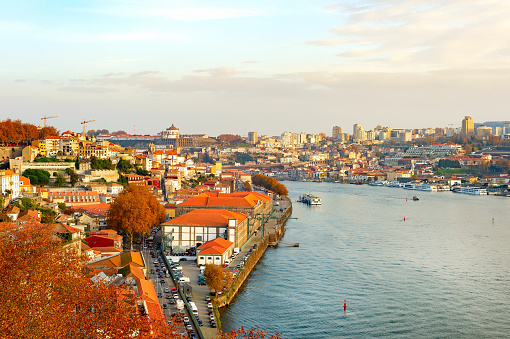 Autumn cityscape with Douro river, boats, golden trees, traditional architecture, Porto, Portugal