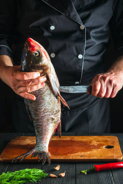 The chef or cook is cleaning bighead carp fish. Working environment in the restaurant kitchen. Fish diet concept