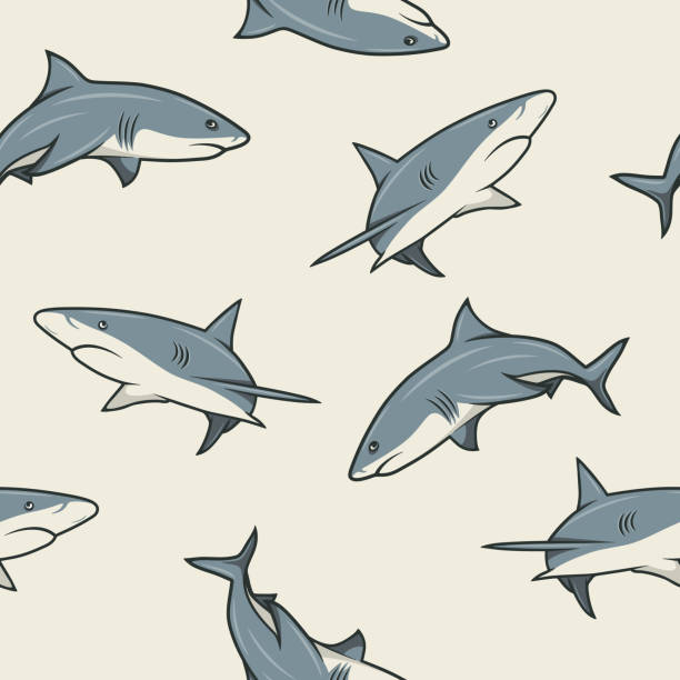 Vector Seamless Pattern with Cartoon Sharks. Seamless Texture with Hand Drawn White Sharks with Contour. Ocean Predator. Marine, Ocean, Sea Animals. Shark Character Design for Textile, Wallpaper Print Vector Seamless Pattern with Cartoon Sharks. Seamless Texture with Hand Drawn White Sharks with Contour. Ocean Predator. Marine, Ocean, Sea Animals. Shark Character Design for Textile, Wallpaper Print. great white shark stock illustrations