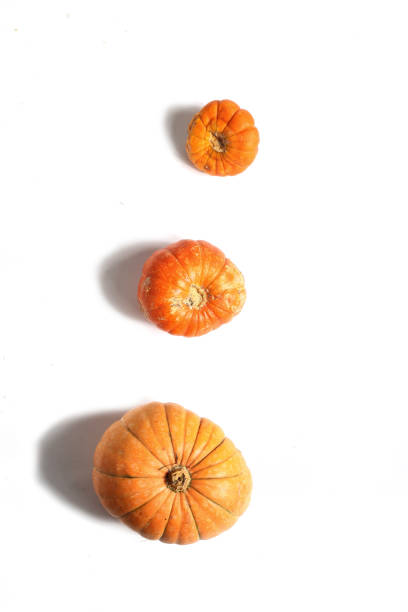 istock harvesting concept - three orange pumpkins of different size isolated on white background flat lay 1435082012