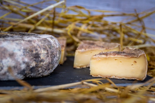 A closeup shot of a French Tomme de Savoie cheese