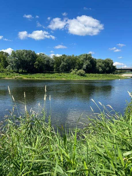 istock beautiful view of the lake 1435083802