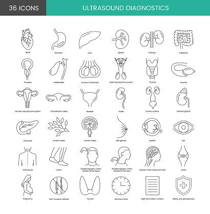 Ultrasound diagnostics is a set of line icons in vector, abdominal organs, urinary system, gynecology, superficial structures. Heart and stomach, spleen and adrenal glands