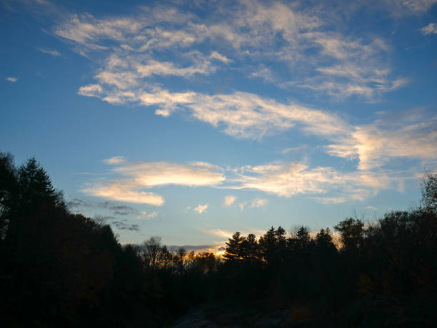 istock Backlight of the forest and beautiful sky 1435089176