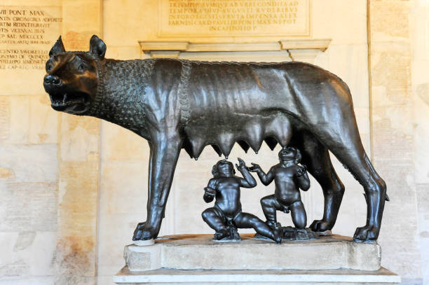 이탈리아 로마에 있는 어린 쌍둥이 로물루스와 레무스에게 젖을 먹이는 신화적인 암늑대 동상 - capitol 뉴스 사진 이미지