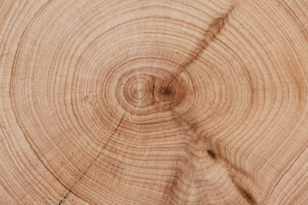 istock Wood texture for design and decoration. 1435091385