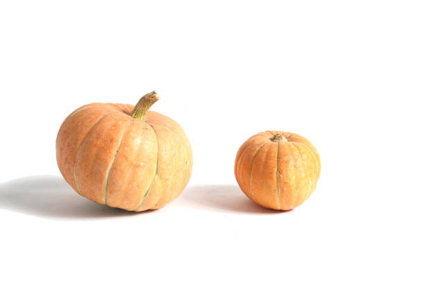 pumpkin isolated on white background - Image