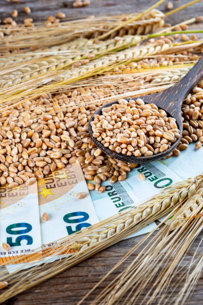 istock Concept of rising costs for wheat 1435093459