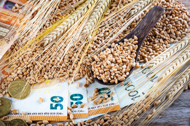 istock Concept of rising costs for wheat 1435093480