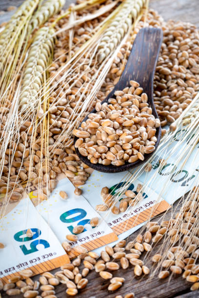 istock Concept of rising costs for wheat 1435093521