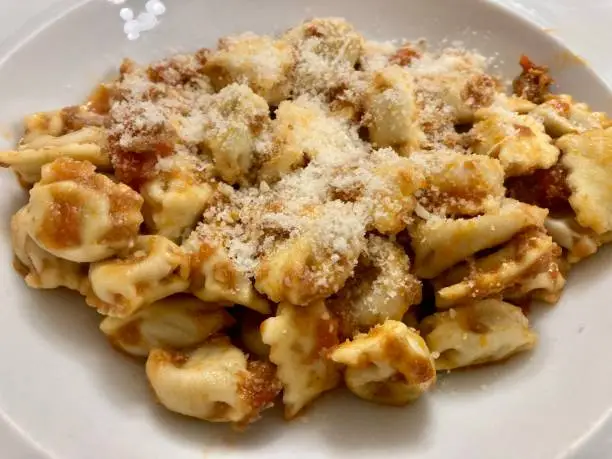 Photo of Italian Food - region of Piemont- Plin or Agnolotti. Fresh pasta with meat inside. An iconic dish from Piemonte, agnolotti del plin gets its name from the regional dialect for “pinch,” which is how you made the pasta.