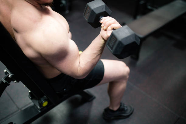 upper body