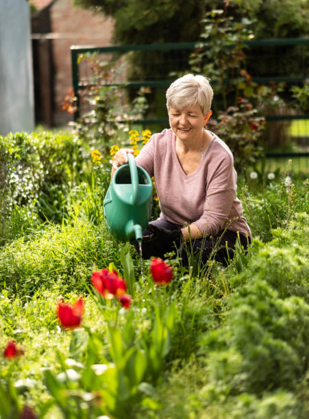 istock Grandma is watering the flowers 1435095416
