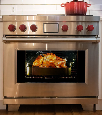 Beautiful looking turkey cooking in a high end home oven