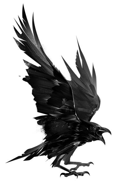 istock drawn raven bird. bird in flight on a white background 1435097099