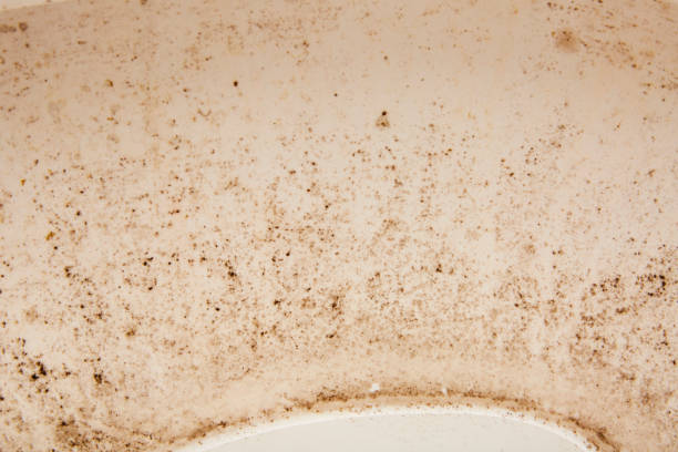 istock Dirty and stains on white toilet bowl 1435098160