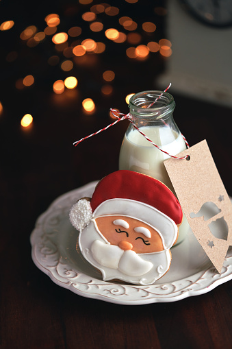 Christmas Cookie and Milk for Santa