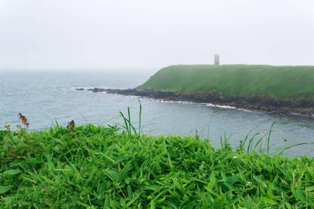 blurred high grassy promontory with abandoned lighthouse above a foggy sea blurred high grassy promontory with abandoned lighthouse above a foggy sea kunashir island stock pictures, royalty-free photos & images
