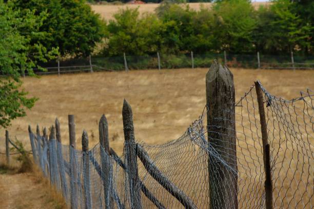 istock Landscape view of the fields in the countryside 1435099548
