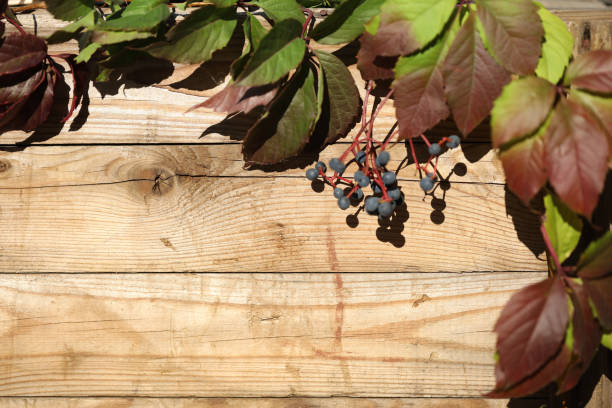Rustic wooden background with frame of autumn leaves