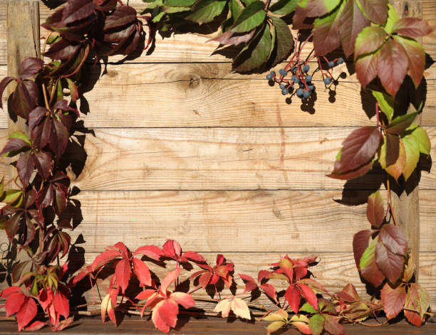 Rustic wooden background with frame of autumn leaves