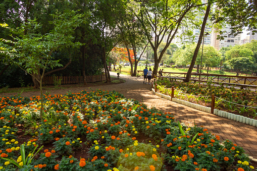 Goiânia, Goias, Brazil – October 18, 2022:  An angle of Flamboyant Park with a flowery garden, trees and lots of greenery.
