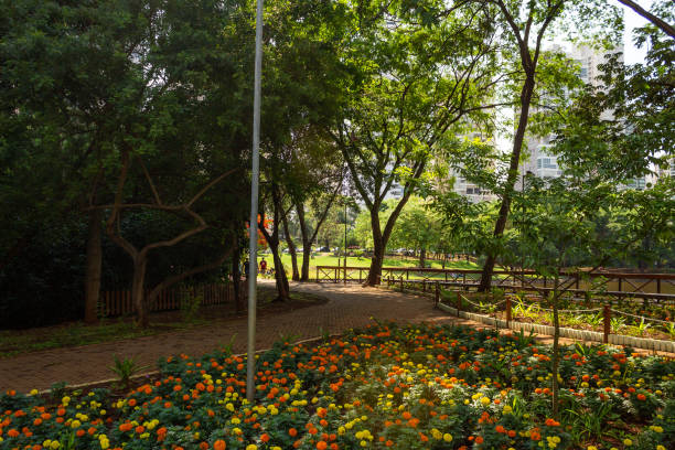 istock Parque Flamboyant 1435107406