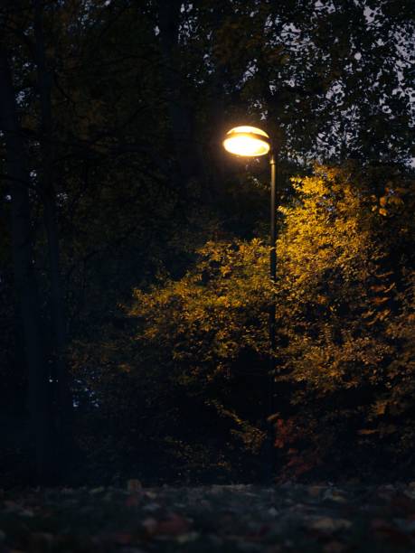 istock Yellow, street light in the dark park, vertical 1435109023