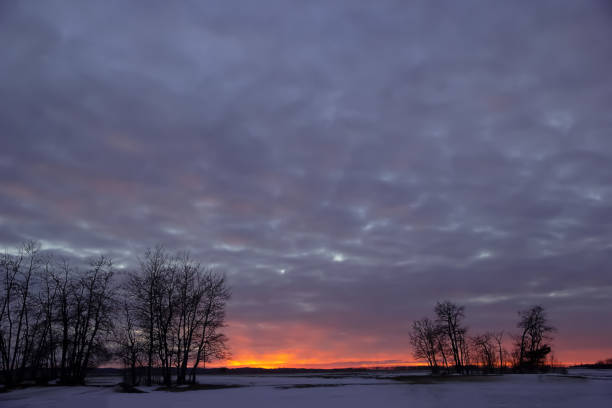 istock Winter bright orange and purple sunset with trees in the foreground. 1435109623