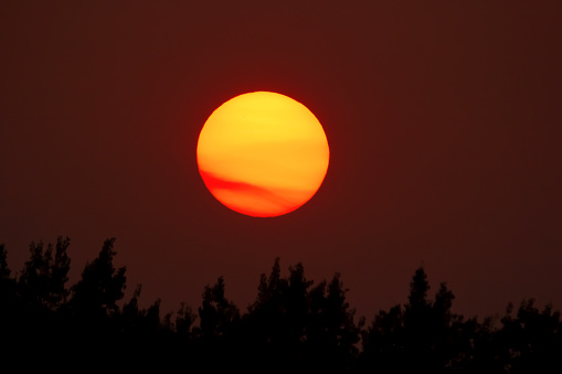 Scenic view of a red night and a big orange sun in smoke over the forest during wildfires in Canadian prairies.