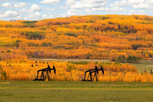 Pumpjacks in the agricultural field among beautiful fall scenery. Oil pump on the agricultural field in bright yellow and orange autumn. Colourful trees and blue cloudy sky are on the background. oil pump oil industry alberta equipment stock pictures, royalty-free photos & images