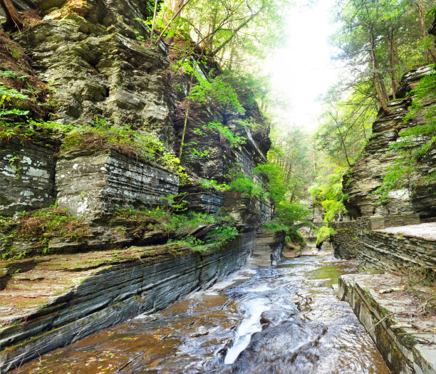 wejście do wąwozu w robert treman state park w stanie nowy jork - ccc zdjęcia i obrazy z banku zdjęć