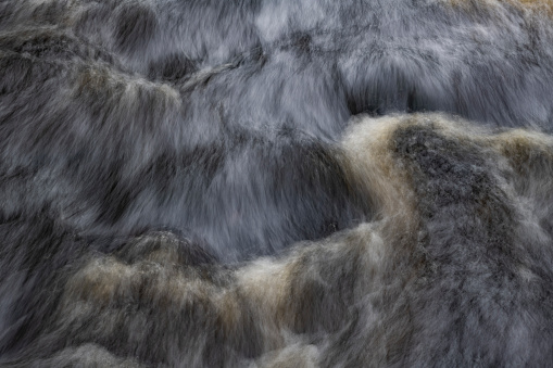 River rapids look like fluffy fir of an animal, Gladyshevka river, Leningrad region, Russia