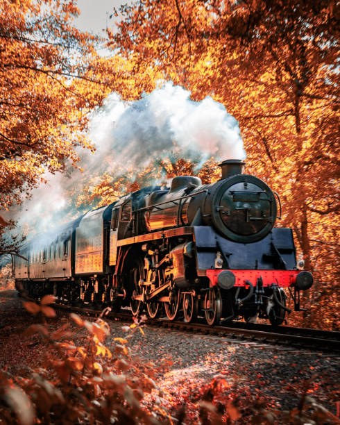 Free Stock Photo of Autumn railway path in a forest setting | Download ...