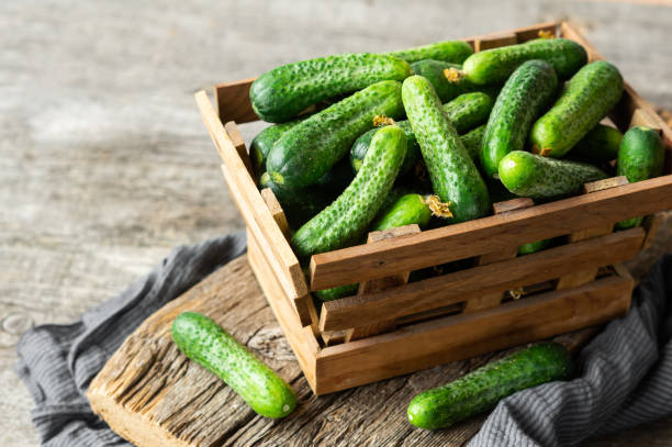 istock Fresh ripe organic small gherkin cucumbers in bowl or basket, not marinated vegetable, cornichon 1435119612