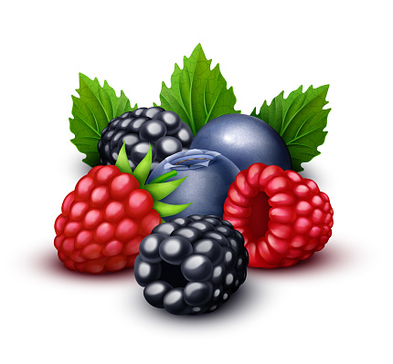 Raspberry, Blackberry, Blueberry Sweet Berries Mix. Vector illustration.