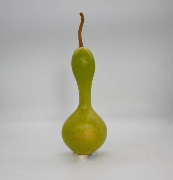 istock nice pilgrim gourd standing up and isolated on white background 1435120696