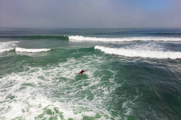 istock Surfer in the wavy sea 1435121596