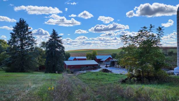 Fall time in the country