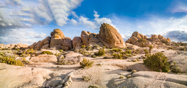 istock rock formation in Joshua tree national park 1435127428